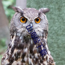 山海经下载