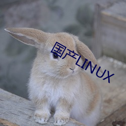 国产LINUX （危若朝露）