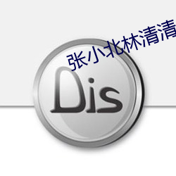 张小(小)北林清清