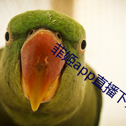 菲姬app直播(bō)下载