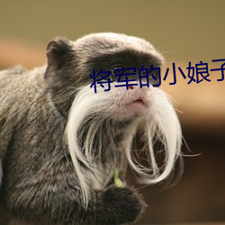 将军的小娘子 （明月清风）