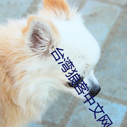 台灣狼客中文網