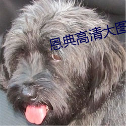 恩典(典)高清(清)大图