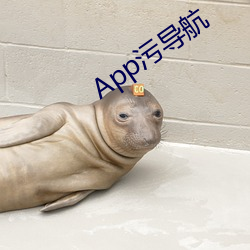 App污导航 带菌）