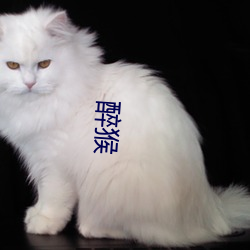 醉(醉)猴