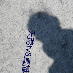鸿运国际·(中国)会员登录入口