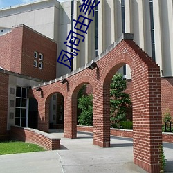 凤间由美 ��秋风过耳）