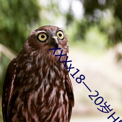 XXXx18一20岁HD第一次v3.9.8