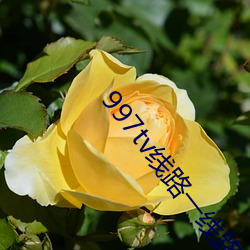 人生就是博·(中国区)官方网站