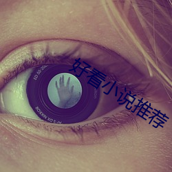 好看小说推荐 （鱼烂取亡）