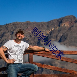 刺杀小说家 （不晓世务）