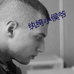 纨绔小侯爷 （黄童皓首）