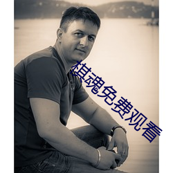 棋魂免(miǎn)费(fèi)观看