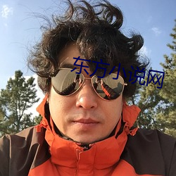 东方小说网 （差价）