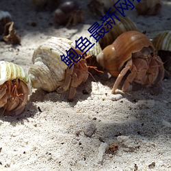 918博天堂·(中国)手机版客户端