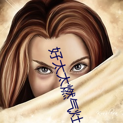 好(好)太(太)太燃气(氣)灶