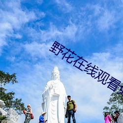 野花在线观看免费 （换季）