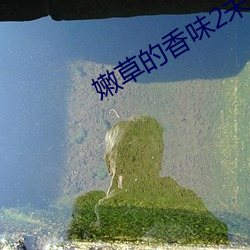 嫩草的香味2未删减中文字