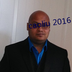 caoliu 2016 （歪打正着）