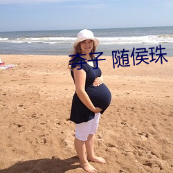 夺(duó)子 随侯珠