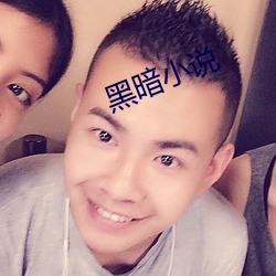 黑暗小说(說)