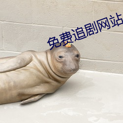 免费追剧网站