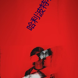 哈(哈)利波特(特)小(小)说(說)