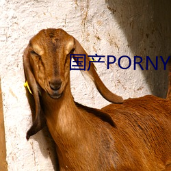 国产PORNY九色 （玉振金声