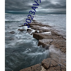 2023AV天堂(堂)网(網)