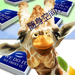 随身空间小说