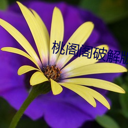 金年会(中国)官方网站