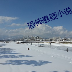 恐怖悬疑小说