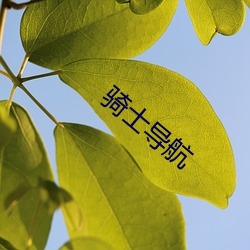 骑士(shì)导(dǎo)航