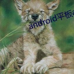 android平板app界面设计 （无所回避��