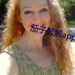茄子破解app无限看