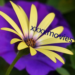 xxxxmovies