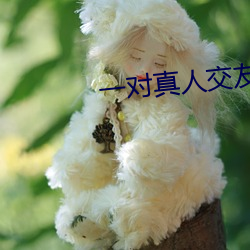 一對真人交友