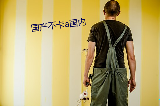 国(國)产不(不)卡(卡)a国内