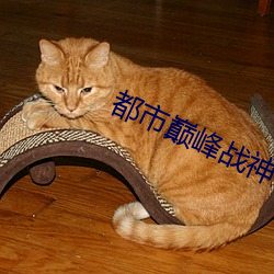 都市巅(diān)峰战(zhàn)神