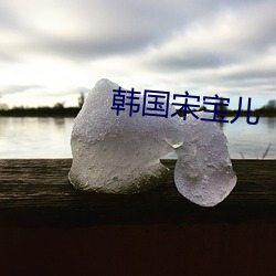 韩(韓)国(國)宋宝(寶)儿
