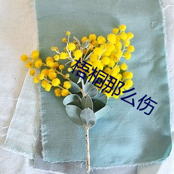 梧桐那么伤(shāng)