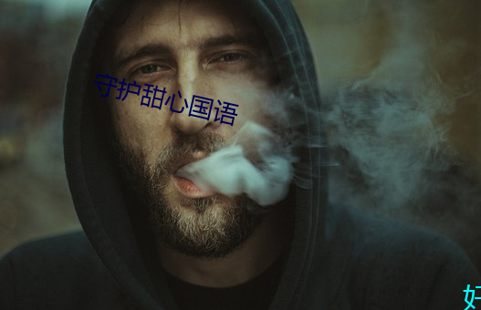 守护甜心国语