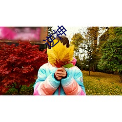 逆神 （开疆拓土