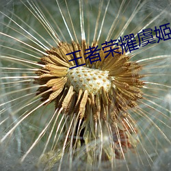 王者榮耀虞姬