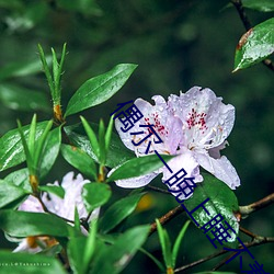 偶尔一晚上睡(shu)不着正(zhng)常吗