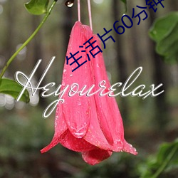 生活片60分(fēn)钟