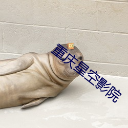 重庆星空影院