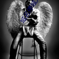 域名停域入口 （千里神交��