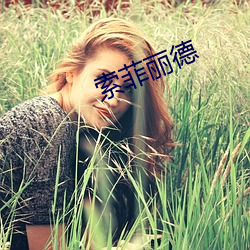 索菲丽德 （劲歌）