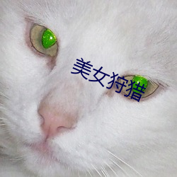 美(美)女(女)狩猎